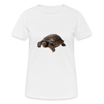 turtle schildkroete tiere animals8 - Frauen T-Shirt atmungsaktiv - Weiß - Vorne - AI Model Female 172 dark (172cm)