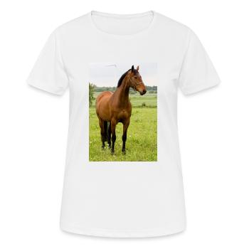 Horse. Horse. - Women's Breathable T-Shirt - white - Front - AI Model Female 172 dark (172cm)