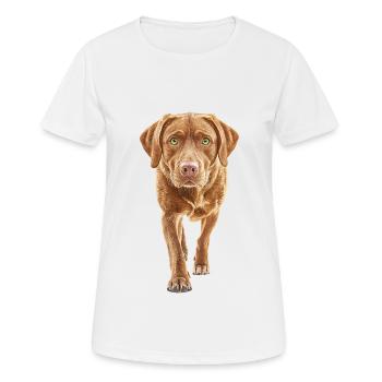 Labrador Retriever - Frauen T-Shirt atmungsaktiv - Weiß - Vorne - AI Model Female 172 dark (172cm)