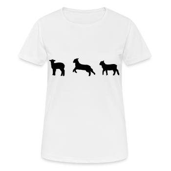 sheep, lamb - Women's Breathable T-Shirt - white - Front - AI Model Female 172 dark (172cm)