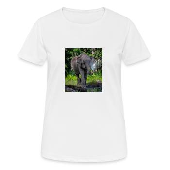 Beautiful Elephant - Women's Breathable T-Shirt - white - Front - AI Model Female 172 dark (172cm)