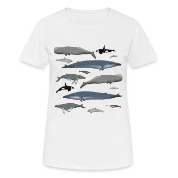 Wale - Frauen T-Shirt atmungsaktiv - Weiß - Vorne - AI Model Female 172 dark (172cm)