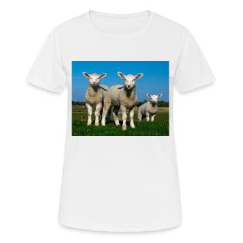 agneaux dans les pâturages - T-shirt respirant Femme - blanc - Devant - AI Model Female 172 dark (172cm)