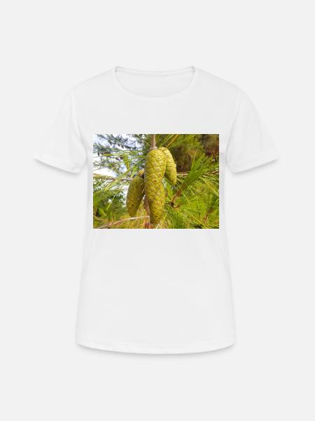 Aleppo pine also Jerusalem pine Aleppo-Kiefer - Women's Breathable T-Shirt - white