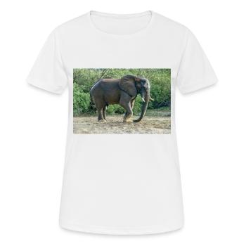 Elefant stampfte mit dem Fuß in den Sand. - Frauen T-Shirt atmungsaktiv - Weiß - Vorne - AI Model Female 172 dark (172cm)