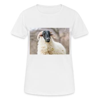 Schaf Ovis in Irland - Frauen T-Shirt atmungsaktiv - Weiß - Vorne - AI Model Female 172 dark (172cm)