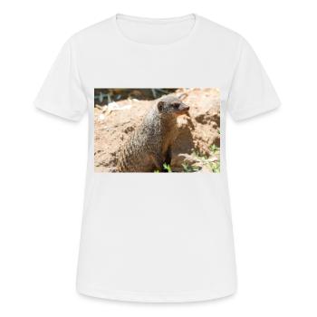 Meerkat (Suricata suricatta, Erdmännchen) - Women's Breathable T-Shirt - white - Front - AI Model Female 172 dark (172cm)