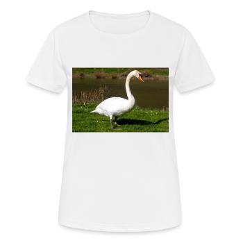 Cygne tuberculé (en allemand Höckerschwan) Cygnus olor - T-shirt respirant Femme - blanc - Devant - AI Model Female 172 dark (172cm)