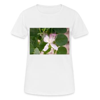Kapernstrauch auch Flinders-Rose Capparis spinosa - Frauen T-Shirt atmungsaktiv - Weiß - Vorne - AI Model Female 172 dark (172cm)