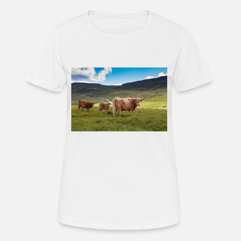 Scottish Highland cattle - Women's Breathable T-Shirt - white