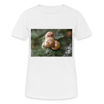Cyprès d’Italie aussi cyprès de Méditerranée - T-shirt respirant Femme - blanc - Devant - AI Model Female 172 dark (172cm)