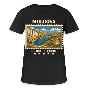 Moldau Orheiul Vechi Vintage Reisemarke - Frauen T-Shirt atmungsaktiv - Schwarz - Vorne - AI Model Female 172 light (172cm)