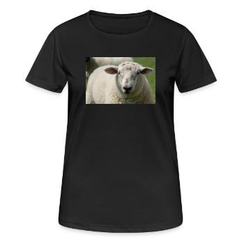 Nahaufnahme eines Schafes - Frauen T-Shirt atmungsaktiv - Schwarz - Vorne - AI Model Female 172 light (172cm)