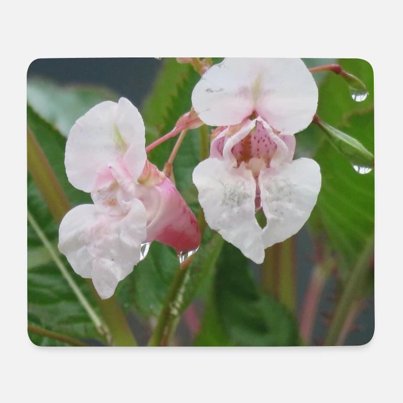 Zartrosa Blüten-Detail - Mousepad (Querformat) - Weiß