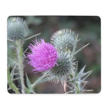 Violetten Distelblüten-Muster - Mousepad (Querformat) - Weiß - Vorne