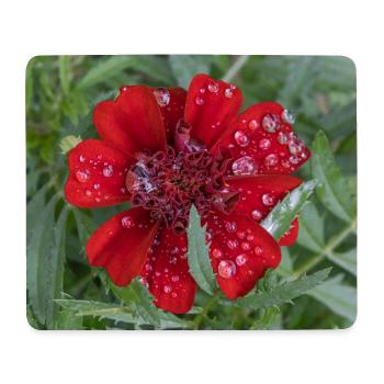 Rote Kleinblattblüte, bedeckt mit Wassertropfen, - Mousepad (Querformat) - Weiß - Vorne