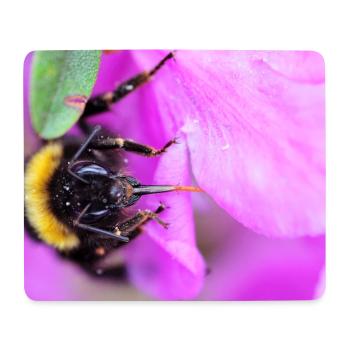Bee on the violet - Mouse Pad (horizontal) - white - Front