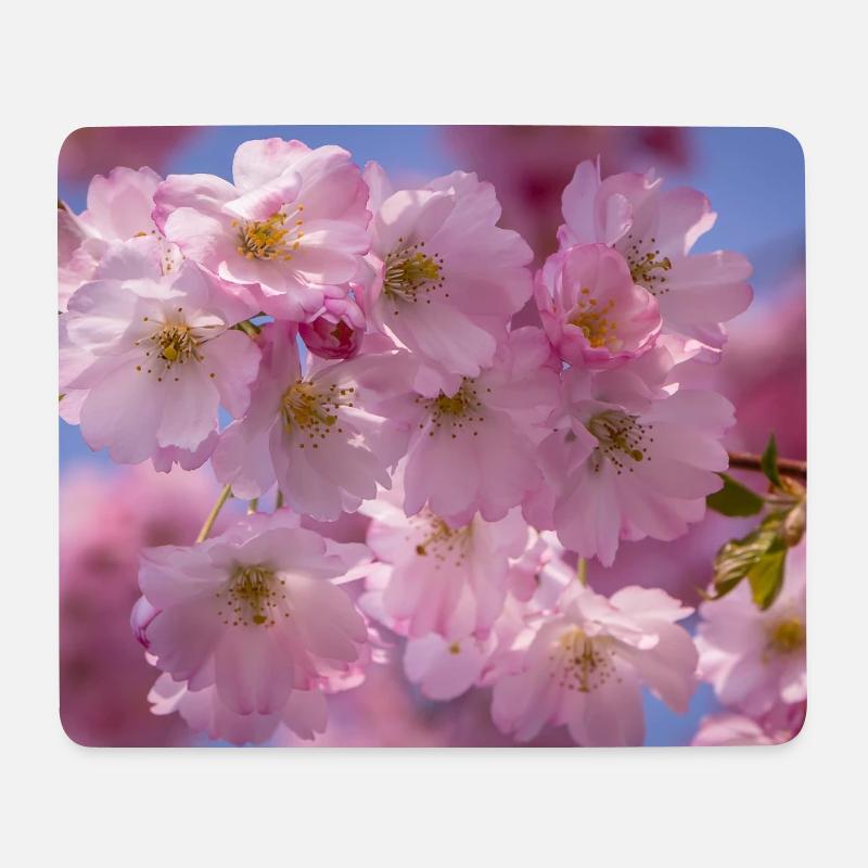 Kirschblueten Nachaufnahmer Rosa Blueten - Mousepad (Querformat) - Weiß