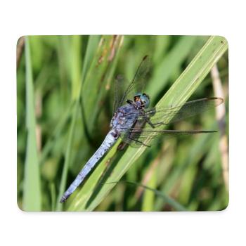 Libellen Poster Blaupfeil Geschenk - Mousepad (Querformat) - Weiß - Vorne