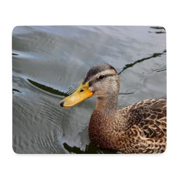 Duck duckling wild duck poster animal poster gift - Mouse Pad (horizontal) - white - Front