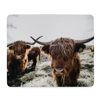 Bovins écossais des Highlands - Tapis de souris (format paysage) - blanc - Devant