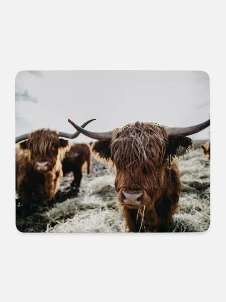 Schottisches Hochlandrind - Mousepad (Querformat) - Weiß