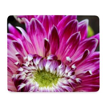 pink dahlia blossom pink flower poster - Mouse Pad (horizontal) - white - Front