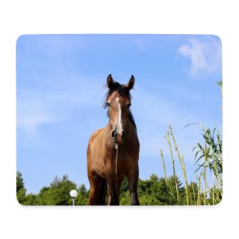 Pferd Pferdeposter - Mousepad (Querformat) - Weiß - Vorne