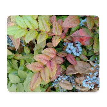 Mahonia / Autumn touch - Mouse Pad (horizontal) - white - Front