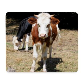 Kuh Poster - Mousepad (Querformat) - Weiß - Vorne