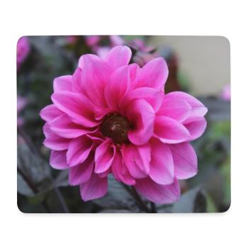 Dahlia Pink Pink Blossom ,Flower - Mouse Pad (horizontal) - white - Front