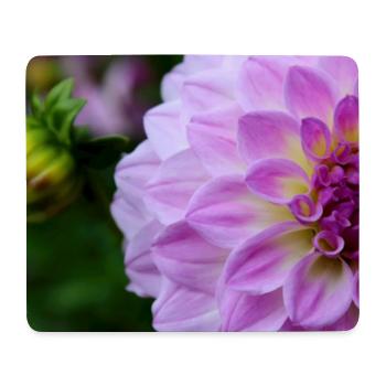 Dahlia Pink Pink Violet Blossom ,Flower - Mouse Pad (horizontal) - white - Front
