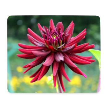 Blume rot rote Blume - Mousepad (Querformat) - Weiß - Vorne