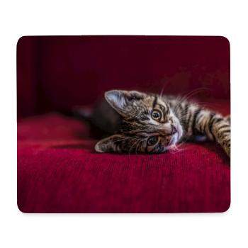 Süße getigerte Babykatze, liegend, Fotografie - Mousepad (Querformat) - Weiß - Vorne