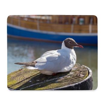 Affiche de mouette dans le port de Büsum, Allemagne - Tapis de souris (format paysage) - blanc - Devant