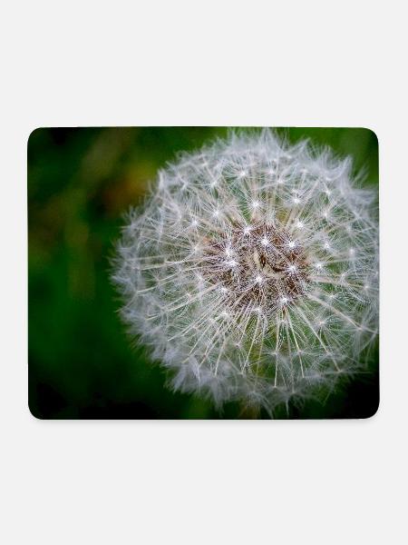 Dandelion - Close-up - Mouse Pad (horizontal) - white