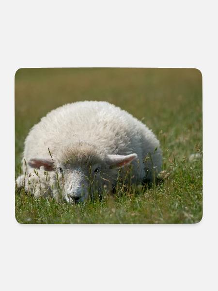 Resting sheep in the grass - Mouse Pad (horizontal) - white