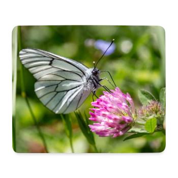 Tree White Butterfly on Blossom - Mouse Pad (horizontal) - white - Front