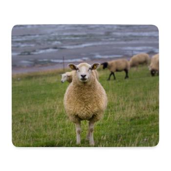Moutons sur la digue sur la côte - Tapis de souris (format paysage) - blanc - Devant