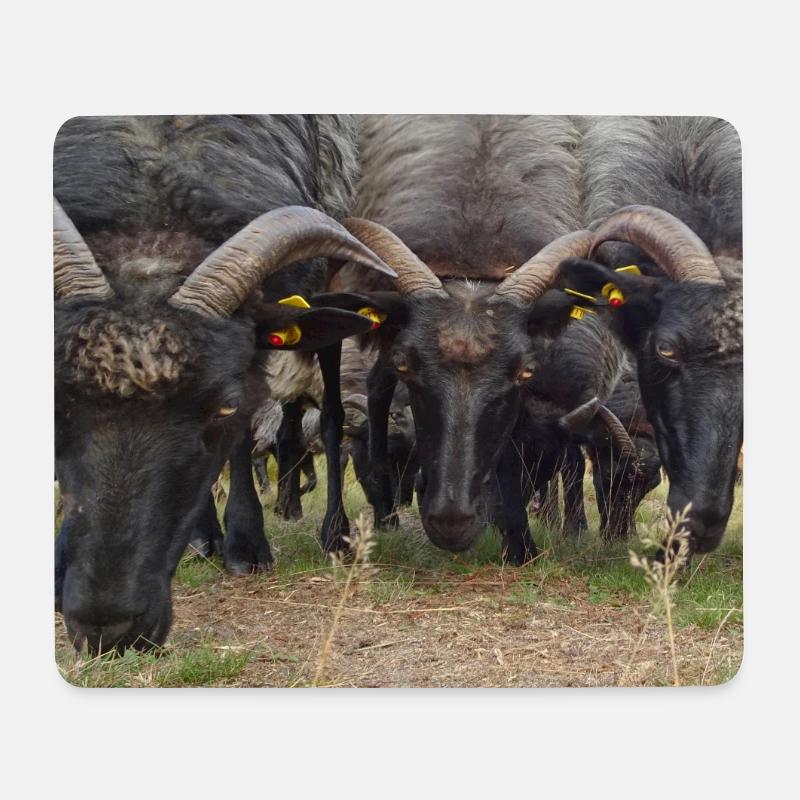 Lüneburger Heide - Mousepad (Querformat) - Weiß