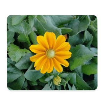 Floraison de rayons jaunes - Tapis de souris (format paysage) - blanc - Devant