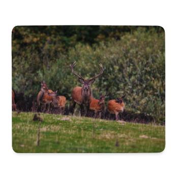 Troupeau de cerfs des prés 000_8271_Nik_DxO - Tapis de souris (format paysage) - blanc - Devant