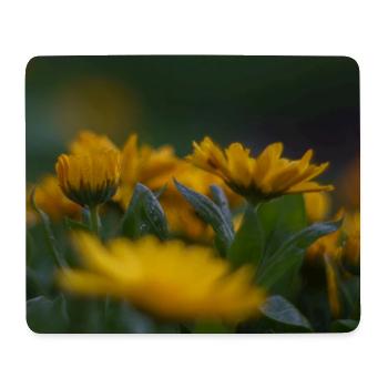 Leuchtend gelbe Blüten blühen inmitten von sattgrünen Blättern - Mousepad (Querformat) - Weiß - Vorne