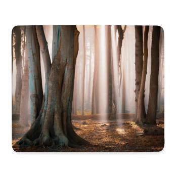 Waldlicht: Sonnenstrahlen im Nebelwald - Mousepad (Querformat) - Weiß - Vorne