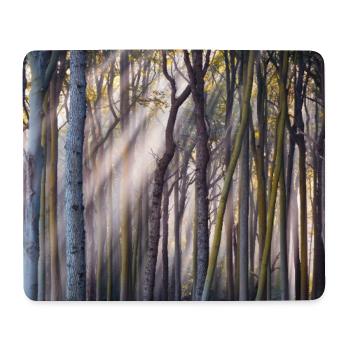 Rayons de lumière dans la forêt - Tapis de souris (format paysage) - blanc - Devant
