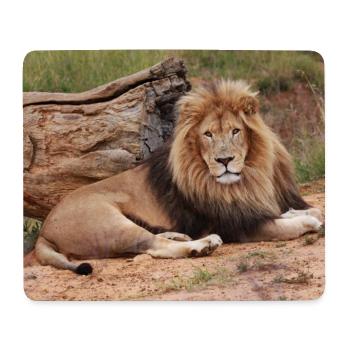 Majestätischer Löwe auf Savanne - Mousepad (Querformat) - Weiß - Vorne