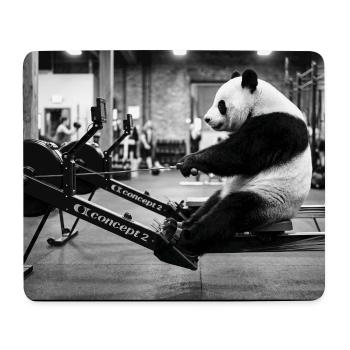 Panda Rowing - Mousepad (Querformat) - Weiß - Vorne