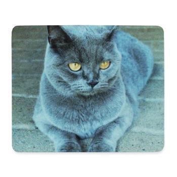 Gray Blue Cat with Golden Eyes - Mouse Pad (horizontal) - white - Front