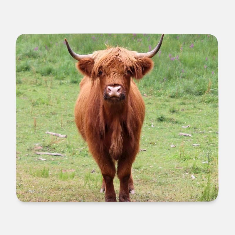 Hochlandrind Kuh Kühe Rinder Landwirt Bauern - Mousepad (Querformat) - Weiß