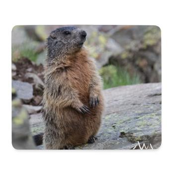 Murmeltier auf Wache 2 - Alpen Wildlife Motiv - Mousepad (Querformat) - Weiß - Vorne